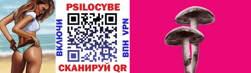 Псилоцибиновые грибы мухоморы OMG как зайти Талица купить наркоту